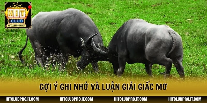 Mơ Thấy Trâu: Giải Mã Điềm Báo Và Con Số Liên Quan 4 Gợi ý ghi nhớ và luận giải giấc mơ