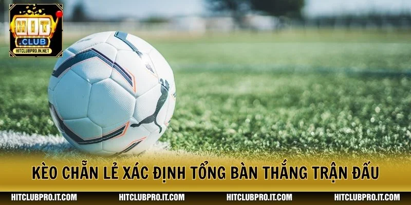 Kèo Chẵn Lẻ Tại HitClub: Cách Đọc Tỷ Lệ Và Phân Tích 2 Kèo chẵn lẻ xác định tổng bàn thắng trận đấu