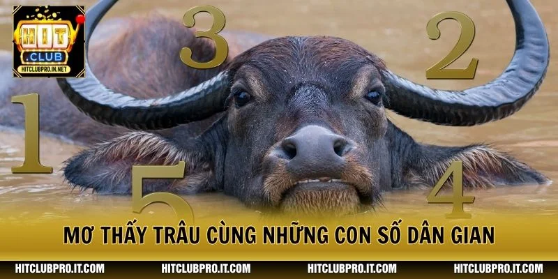 Mơ Thấy Trâu: Giải Mã Điềm Báo Và Con Số Liên Quan 3 Mơ thấy trâu cùng những con số dân gian